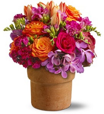 Country Chic from Metropolitan Plant & Flower Exchange, local NJ florist