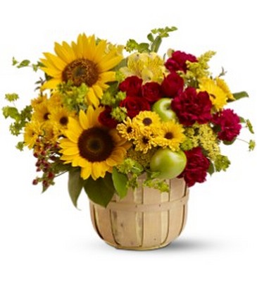 Farmer's Market from Metropolitan Plant & Flower Exchange, local NJ florist
