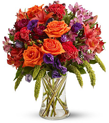 Autumn Gemstones from Metropolitan Plant & Flower Exchange, local NJ florist