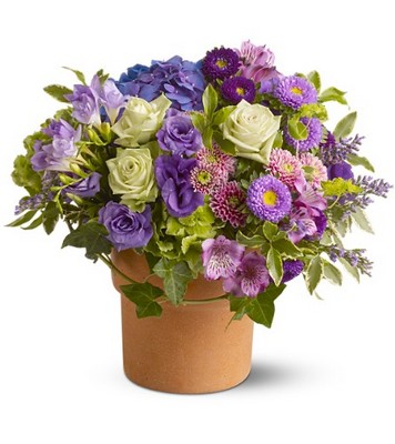 Sweet Wishes from Metropolitan Plant & Flower Exchange, local NJ florist