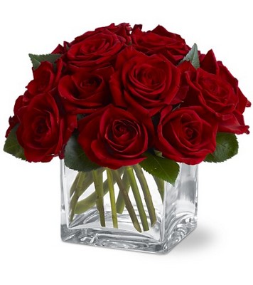 Rose Contempo from Metropolitan Plant & Flower Exchange, local NJ florist