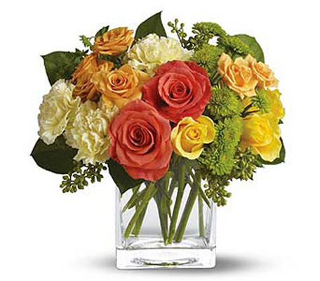 Citrus Splash from Metropolitan Plant & Flower Exchange, local NJ florist
