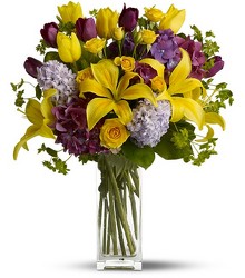 Spring Equinox from Metropolitan Plant & Flower Exchange, local NJ florist