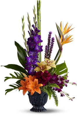Paradise Blooms from Metropolitan Plant & Flower Exchange, local NJ florist