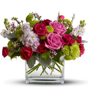 Nature's Garden from Metropolitan Plant & Flower Exchange, local NJ florist