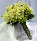  from Metropolitan Plant & Flower Exchange, local NJ florist